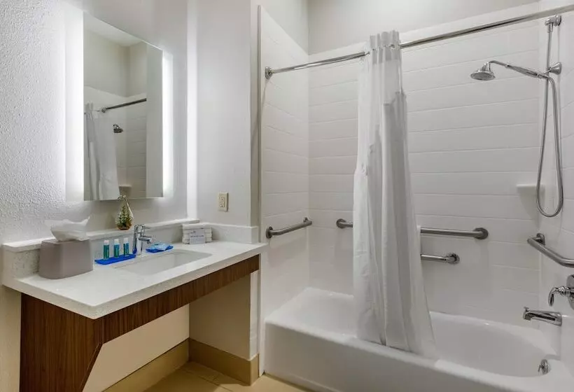 身障者適用スイートルーム, Holiday Inn Express Houston Alvin, An Ihg