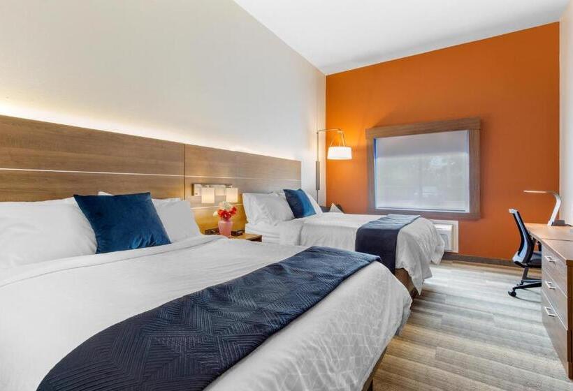 标准间, Holiday Inn Express Houston Alvin, An Ihg