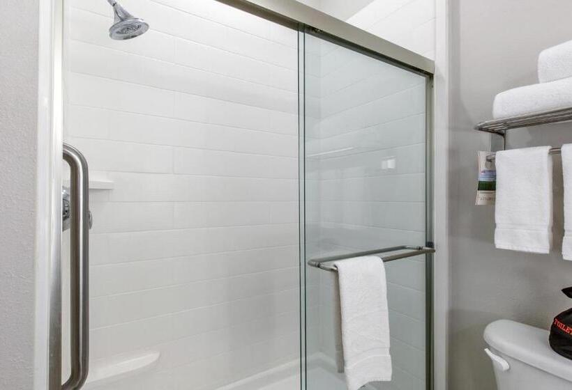 带大床的套房, Holiday Inn Express Houston Alvin, An Ihg