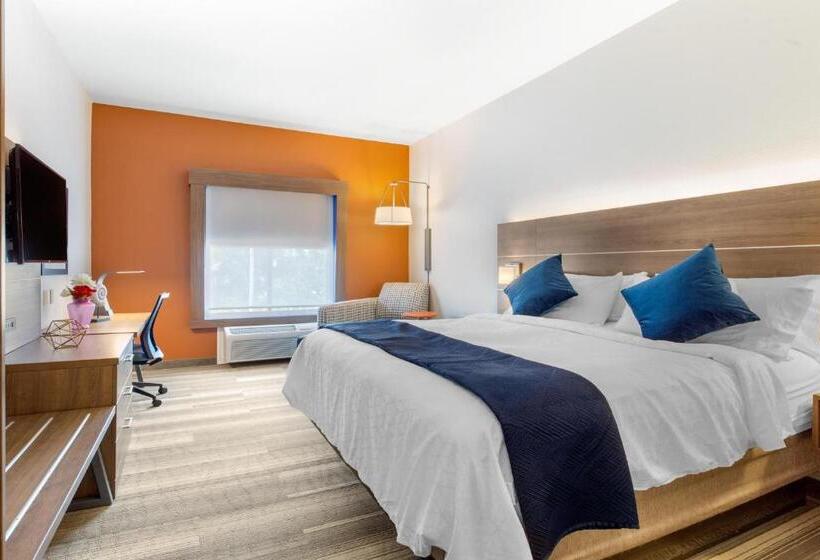 Habitació Estàndard Llit King Adaptada per a persones amb mobilitat reduïda, Holiday Inn Express Houston Alvin, An Ihg