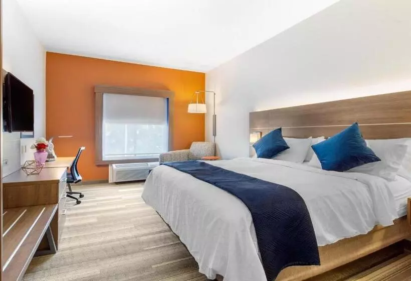 身障者適用キングサイズベッドルーム, Holiday Inn Express Houston Alvin, An Ihg