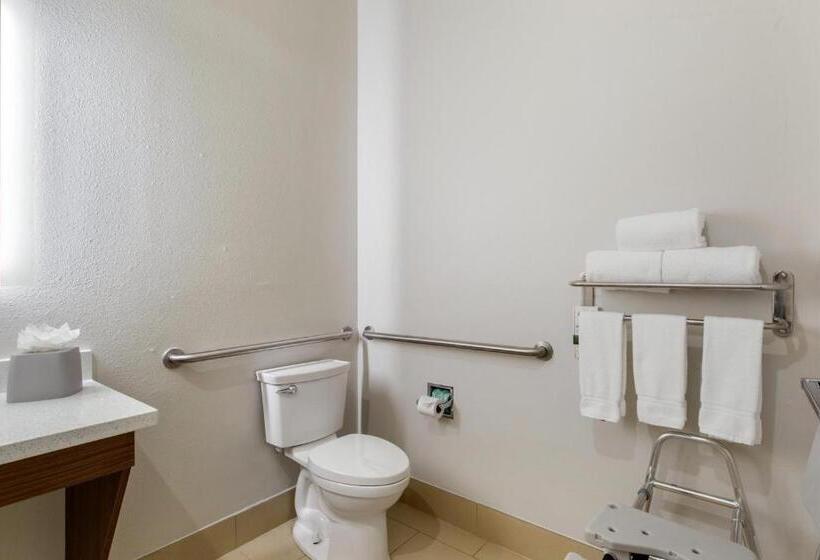 适合残疾人士使用的带超级大床的标准间, Holiday Inn Express Houston Alvin, An Ihg