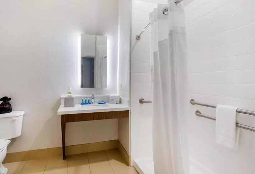 身障者適用キングサイズベッドルーム, Holiday Inn Express Houston Alvin, An Ihg
