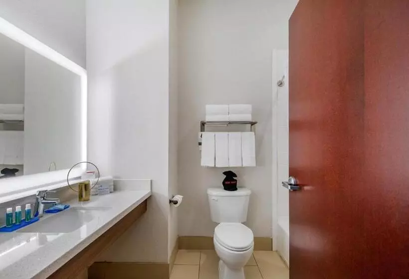 身障者適用キングサイズベッドルーム, Holiday Inn Express Houston Alvin, An Ihg
