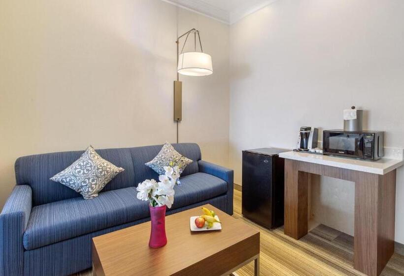 适合残疾人士使用的套间, Holiday Inn Express Houston Alvin, An Ihg