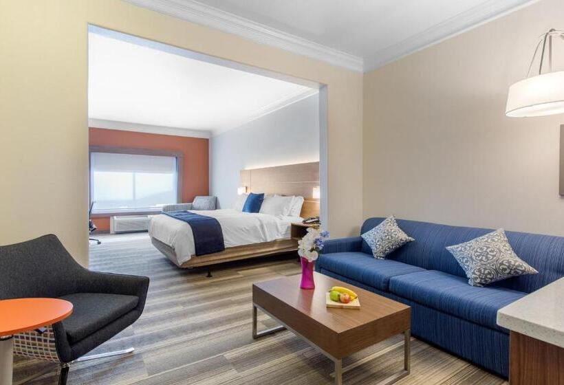 适合残疾人士使用的套间, Holiday Inn Express Houston Alvin, An Ihg