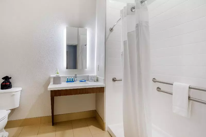 キングサイズベッドのスタンダードルーム, Holiday Inn Express Houston Alvin, An Ihg