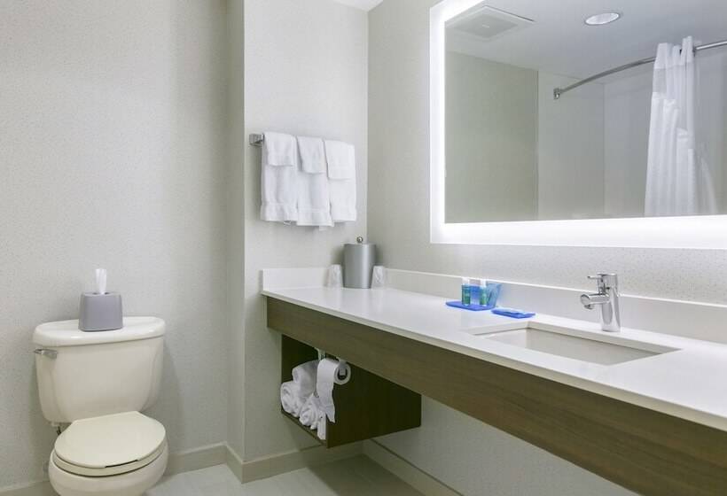 스위트, Holiday Inn Express Mount Arlington, An Ihg