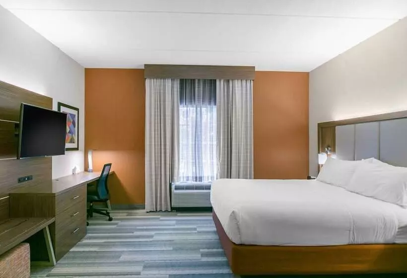 スイート, Holiday Inn Express Mount Arlington, An Ihg