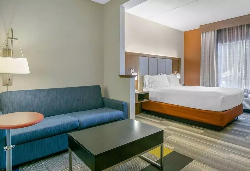 スイート, Holiday Inn Express Mount Arlington, An Ihg