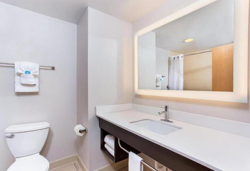 带大床的标准间, Holiday Inn Express & Suites Morristown, An Ihg
