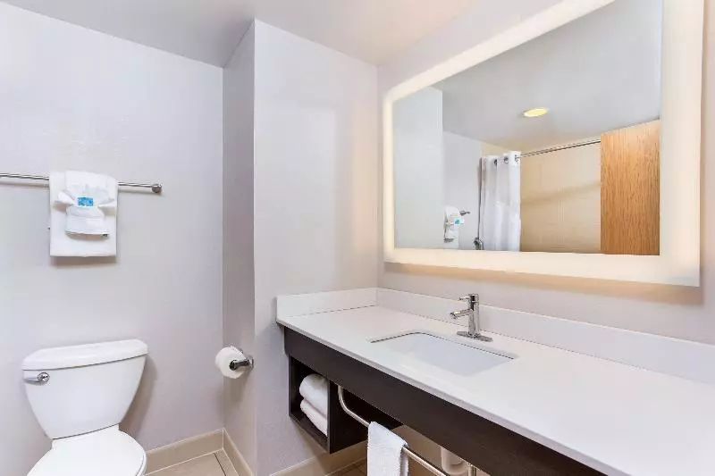キングサイズベッドのスイートルーム, Holiday Inn Express & Suites Morristown, An Ihg