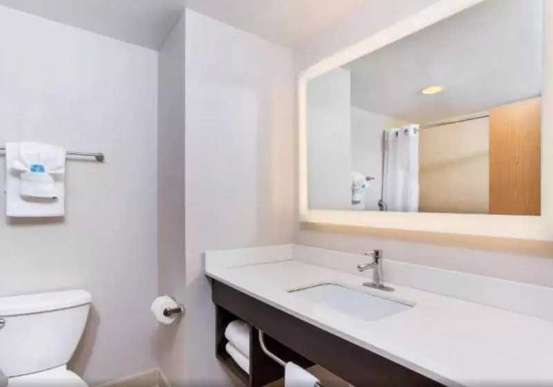 身障者適用キングサイズベッドルーム, Holiday Inn Express & Suites Morristown, An Ihg