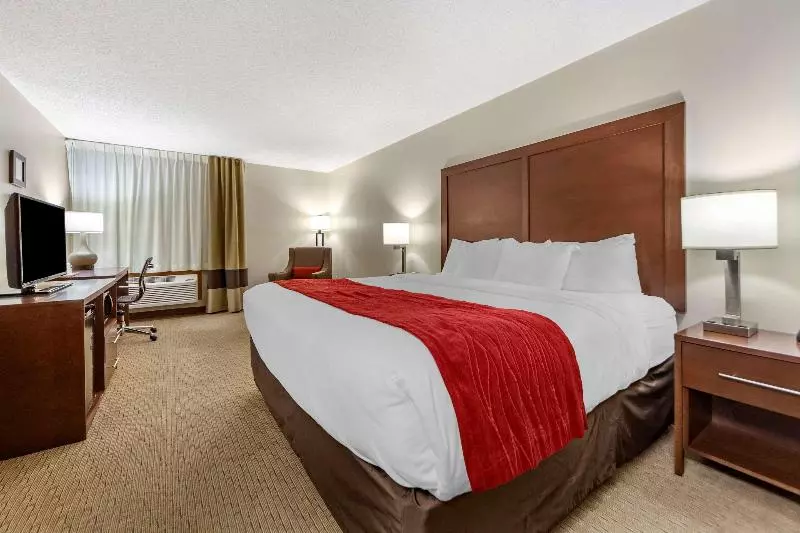 身障者適用スタンダードルーム, Holiday Inn & Suites Green Bay Stadium, An Ihg