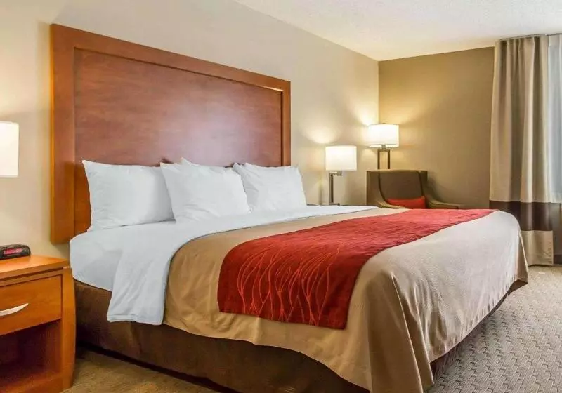 身障者適用スタンダードルーム, Holiday Inn & Suites Green Bay Stadium, An Ihg