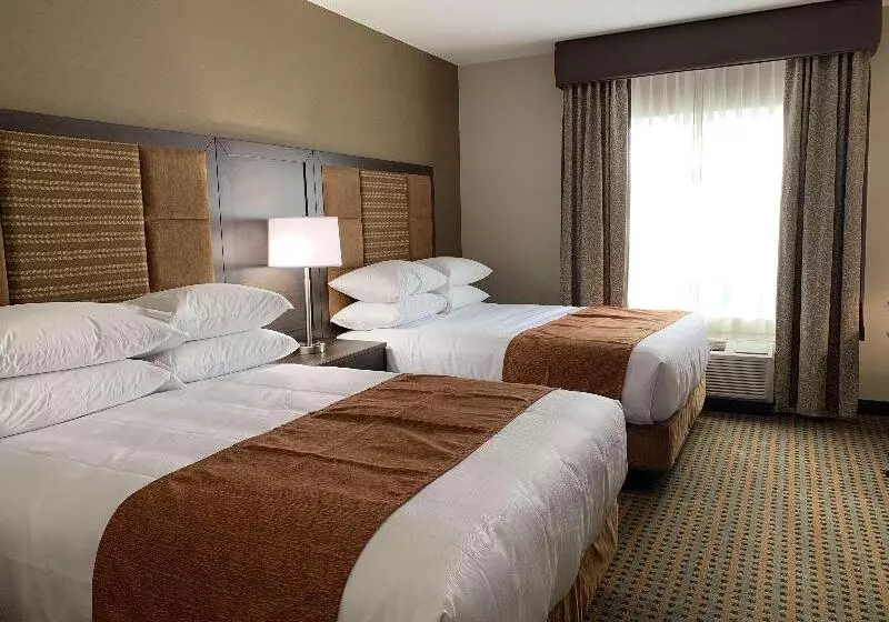 身障者適用キングサイズベッドルーム, Holiday Inn & Suites Green Bay Stadium, An Ihg