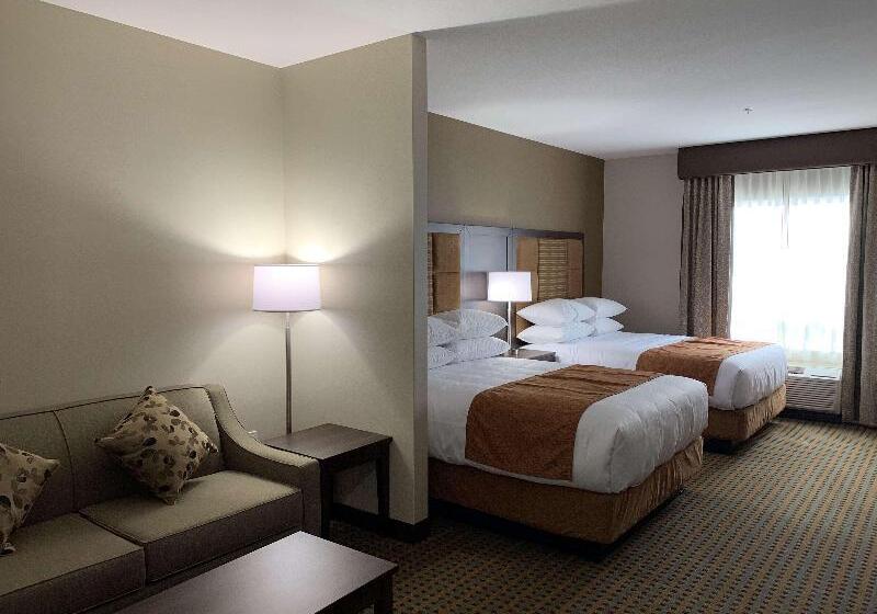 Номер Стандарт Кровать Кинг Адаптированный для Инвалидов, Holiday Inn & Suites Green Bay Stadium, An Ihg