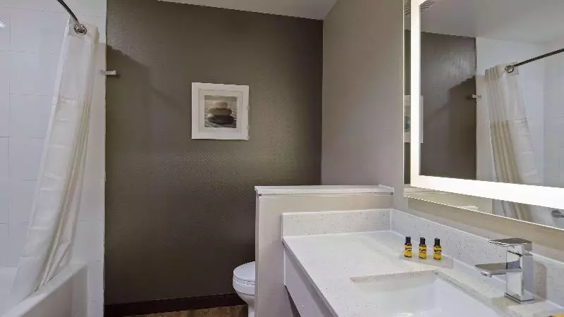 身障者適用キングサイズベッドルーム, Holiday Inn & Suites Green Bay Stadium, An Ihg