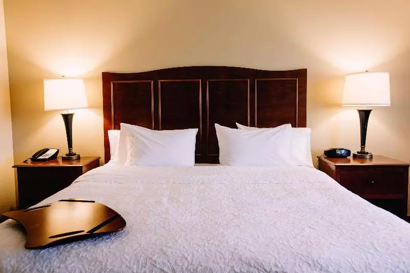 スイート, Holiday Inn & Suites Green Bay Stadium, An Ihg