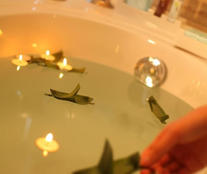 جناح بريميوم, Novotel Zhengzhou Convention Centre