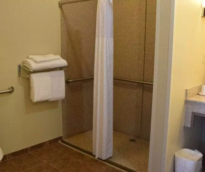 スイート, Best Western Dothan Inn & Suites