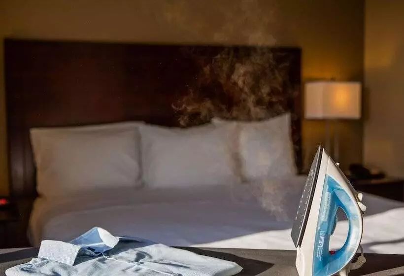 スイート, Best Western Dothan Inn & Suites