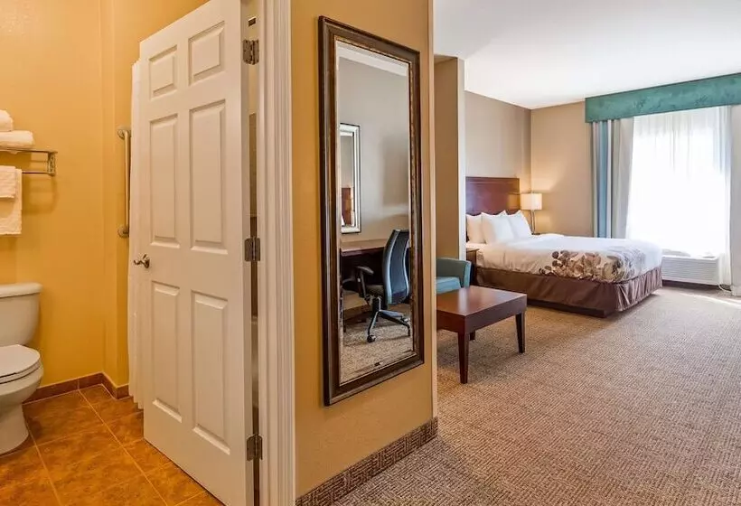 スイート, Best Western Dothan Inn & Suites