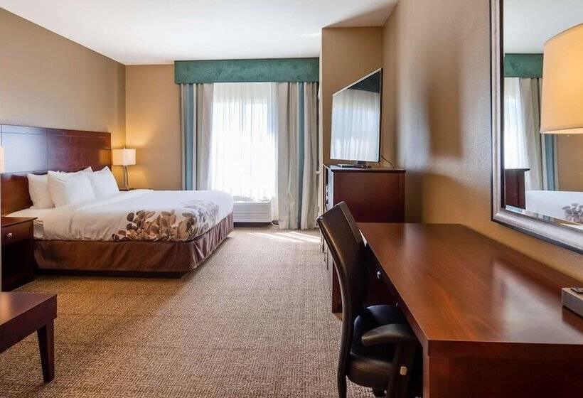 سوییت, Best Western Dothan Inn & Suites