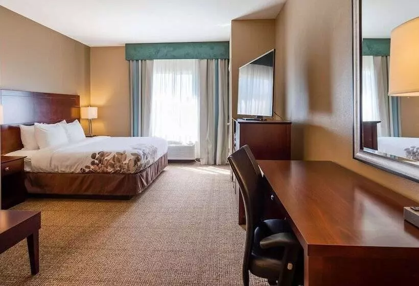 スイート, Best Western Dothan Inn & Suites