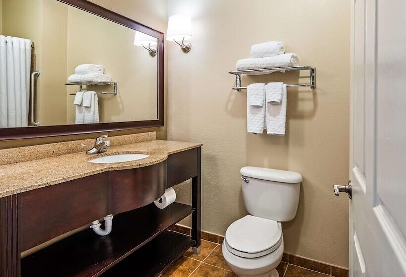 سوییت, Best Western Dothan Inn & Suites