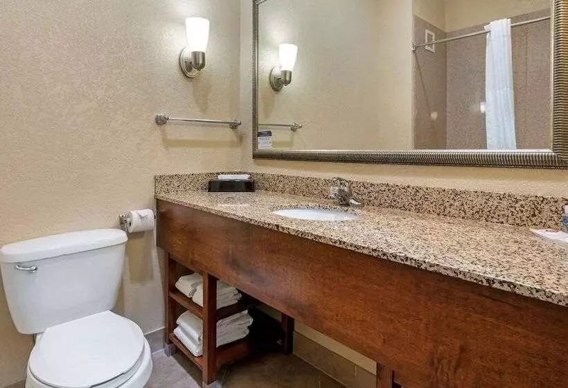 スイート, Comfort Suites Merrillville Near Us 30