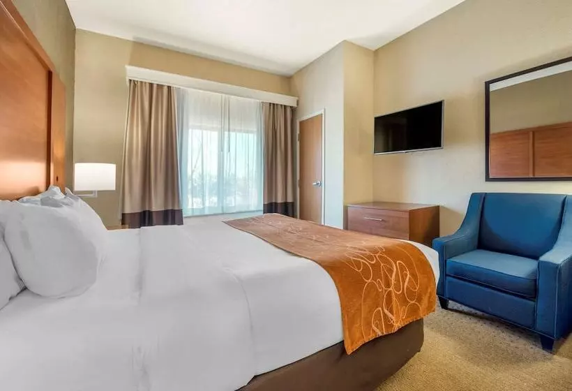 スイート, Comfort Suites Merrillville Near Us 30