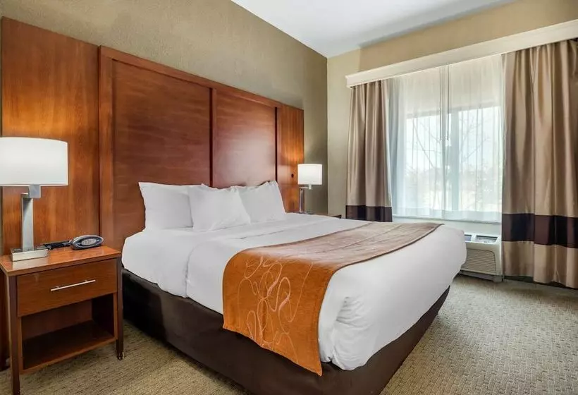 スイート, Comfort Suites Merrillville Near Us 30