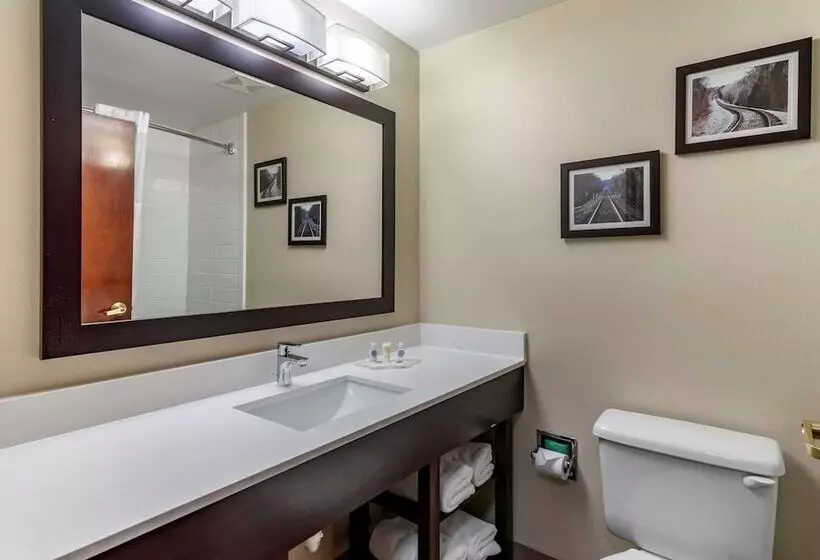 スイート, Comfort Suites Near Robins Air Force Base
