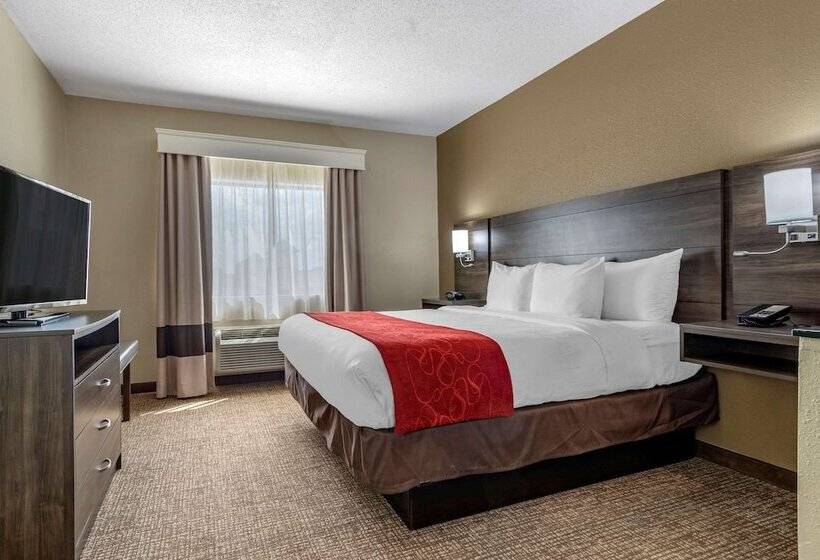 סוויטה, Comfort Suites Near Robins Air Force Base