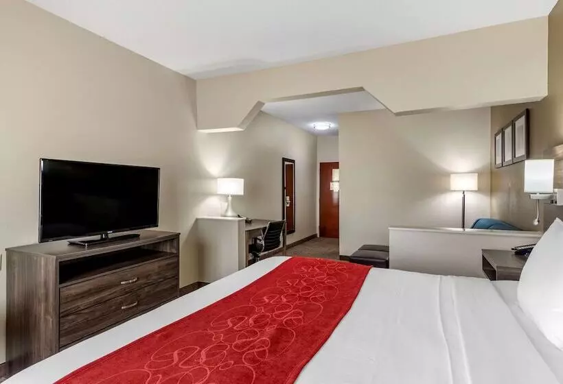 スイート, Comfort Suites Near Robins Air Force Base