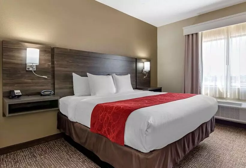 スイート, Comfort Suites Near Robins Air Force Base