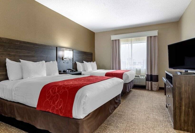 סוויטה, Comfort Suites Near Robins Air Force Base