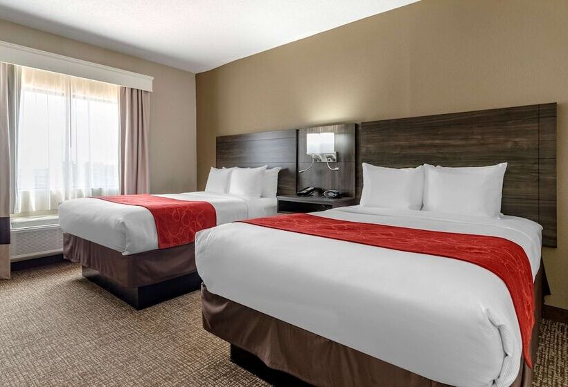 スイート, Comfort Suites Near Robins Air Force Base