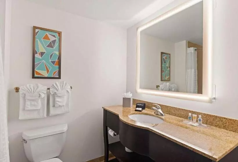 キングサイズベッドのスイートルーム, Comfort Suites Vero Beach I95