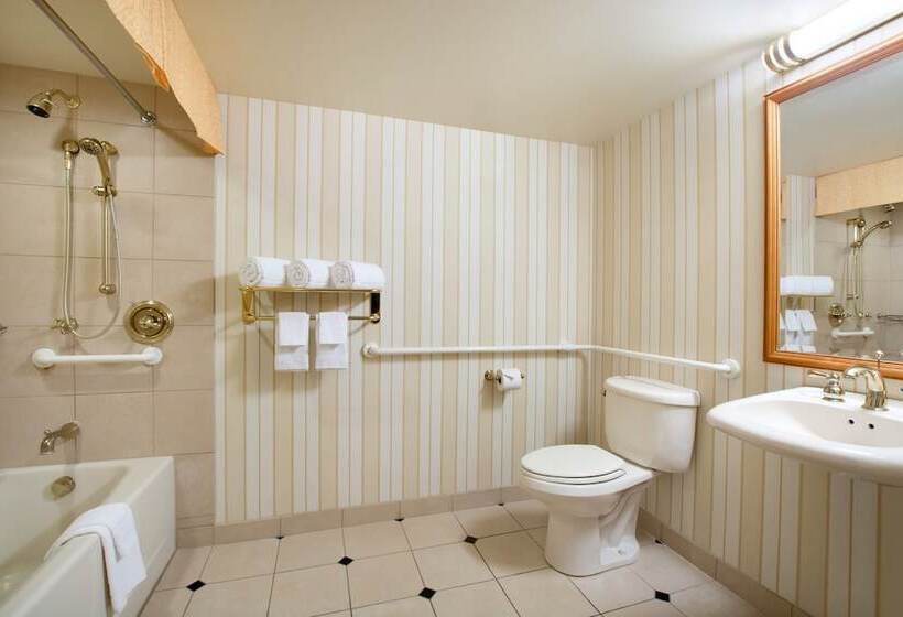 高级客房, Harrah S Joliet Casino &