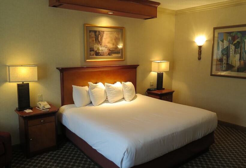 高级客房, Harrah S Joliet Casino &