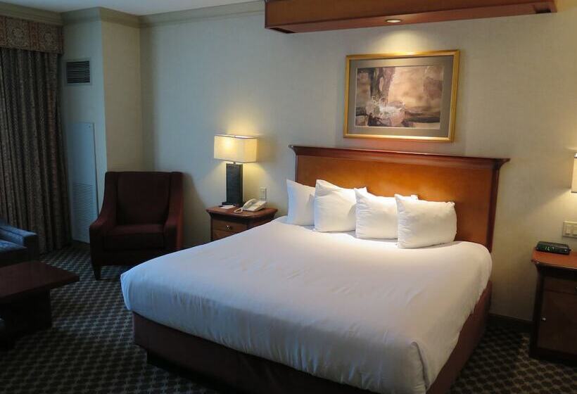 豪华房间, Harrah S Joliet Casino &