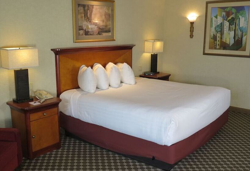 豪华房间, Harrah S Joliet Casino &