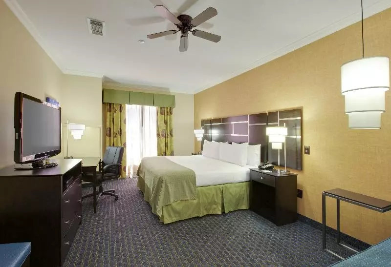 身障者適用キングサイズベッドルーム, Holiday Inn Houston East Channelview, An Ihg