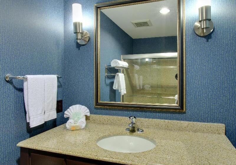 غرفة قياسية سرير كينج, Holiday Inn Houston East Channelview, An Ihg