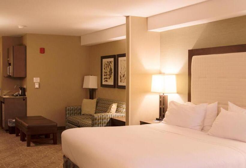 身障者適用キングサイズベッドルーム, Holiday Inn Express & Suites Logan, An Ihg