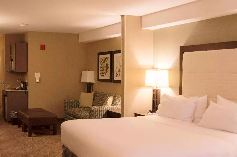 キングサイズベッドのスイートルーム, Holiday Inn Express & Suites Logan, An Ihg