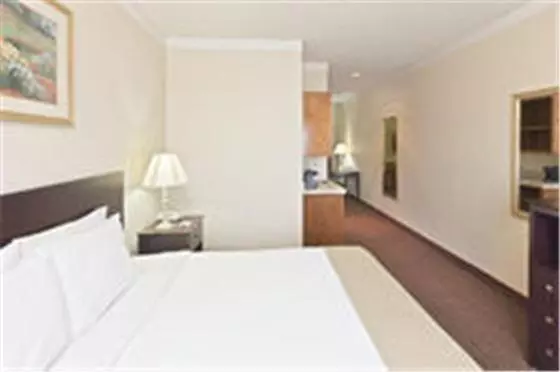 キングサイズベッドのスタンダードルーム, Holiday Inn Express Hotel & Suites Plainview, An Ihg