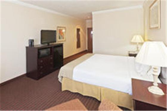 Стандартный Номер Кровать Кинг, Holiday Inn Express Hotel & Suites Plainview, An Ihg